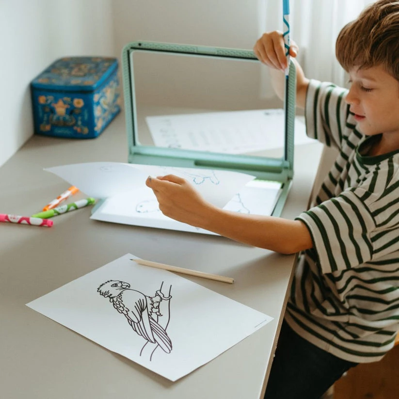 KIDYWOLF šviečianti dvipusė piešimo planšetė KIDYDRAW-PRO, žalia