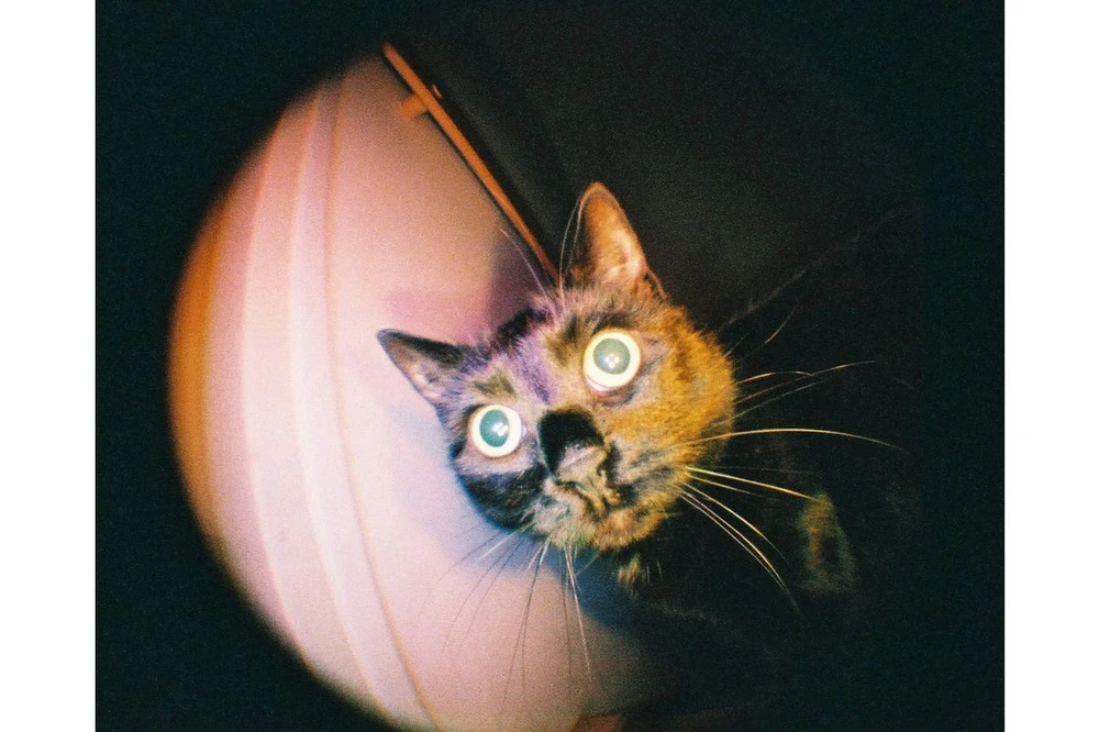 Lomography Fisheye Baby 110 kišeninis juostinis fotoaparatas (daugiaspalvis)