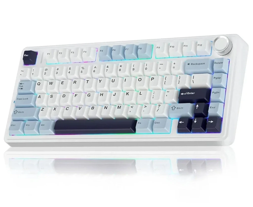 Žaidimų klaviatūra Aula F75 ) - Leobog Reaper Switches  (Glacier Mėlyna) aprašymas - Prekės nuotrauka