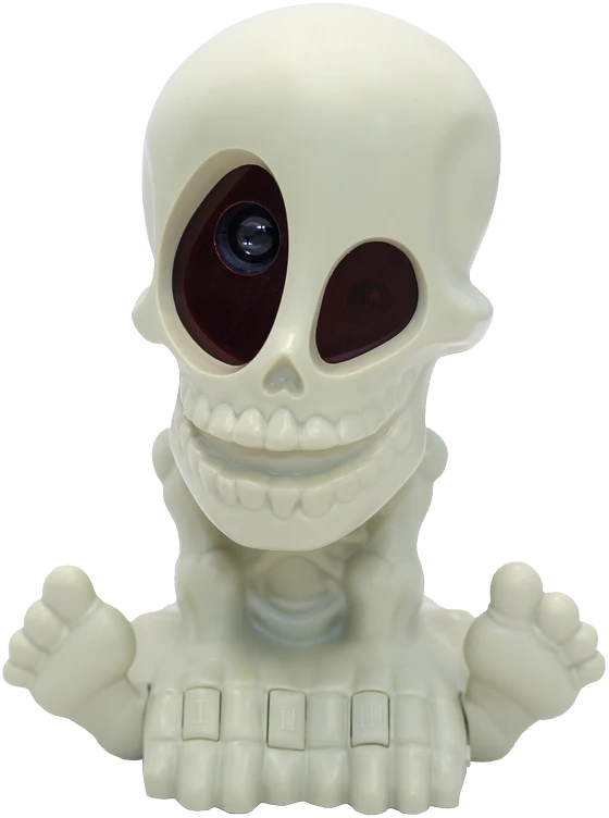 Interaktyvus žaidimas The Visions of Johny The Skull, 3125