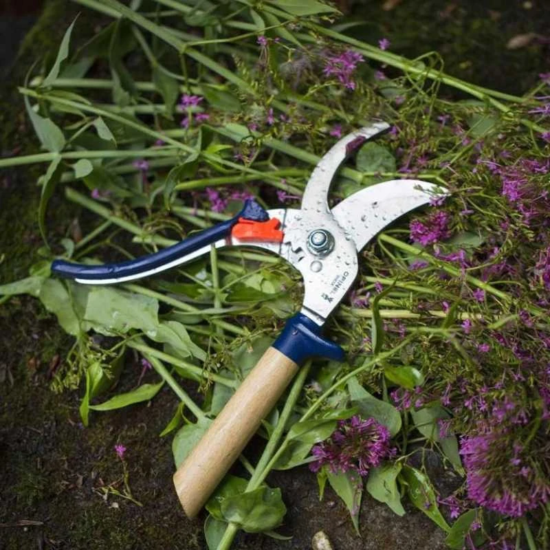 Opinel sekatorius kombinuota buko ir mėlyno plastiko rankena