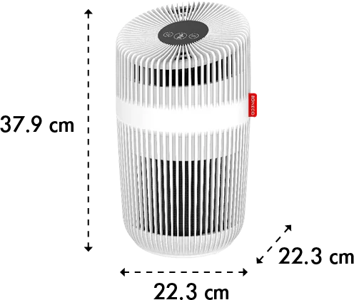 Oro valytuvas Boneco P230