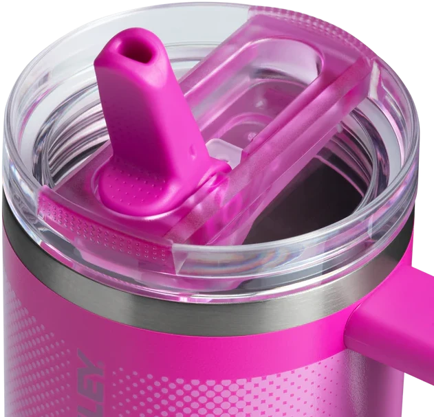 Gertuvė Stanley Quencher ProTour Flip Straw Tumbler, 0.6 L, violetinė