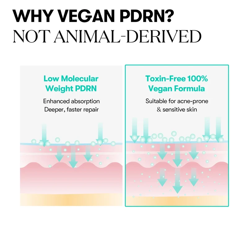 VT Cosmetics PDRN Capsule Cream 100 drėkinamasis ir stangrinamasis veido kremas, 50 ml