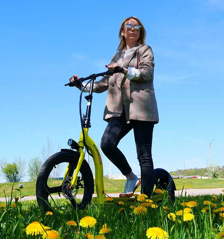 Elektrinis paspirtukas Beaster Scooter VOYAGER 350 W, 36 V, 10 Ah, baltas