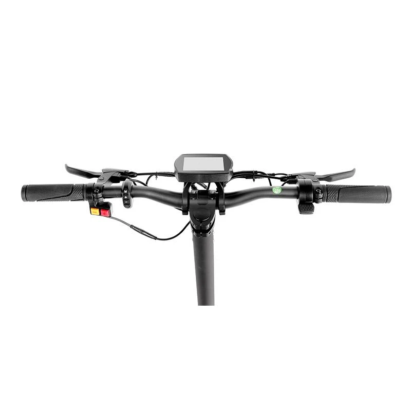 Elektrinis paspirtukas Beaster Scooter XWAY, 1000 W, 48 V, 16,6 Ah, skirtas bekelei