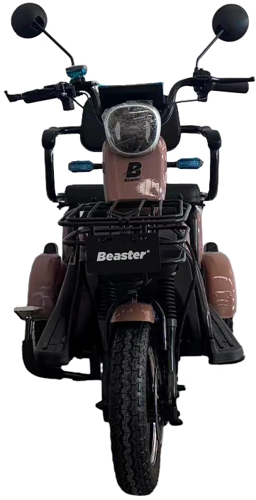Beaster Elektrinis triratis motoroleris, BSKENDO3A, rudas, surinktas, 500 W