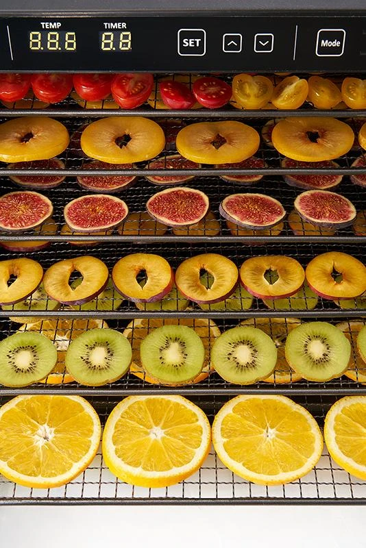 Maisto produktų džiovyklė Zyle ZY100FD
