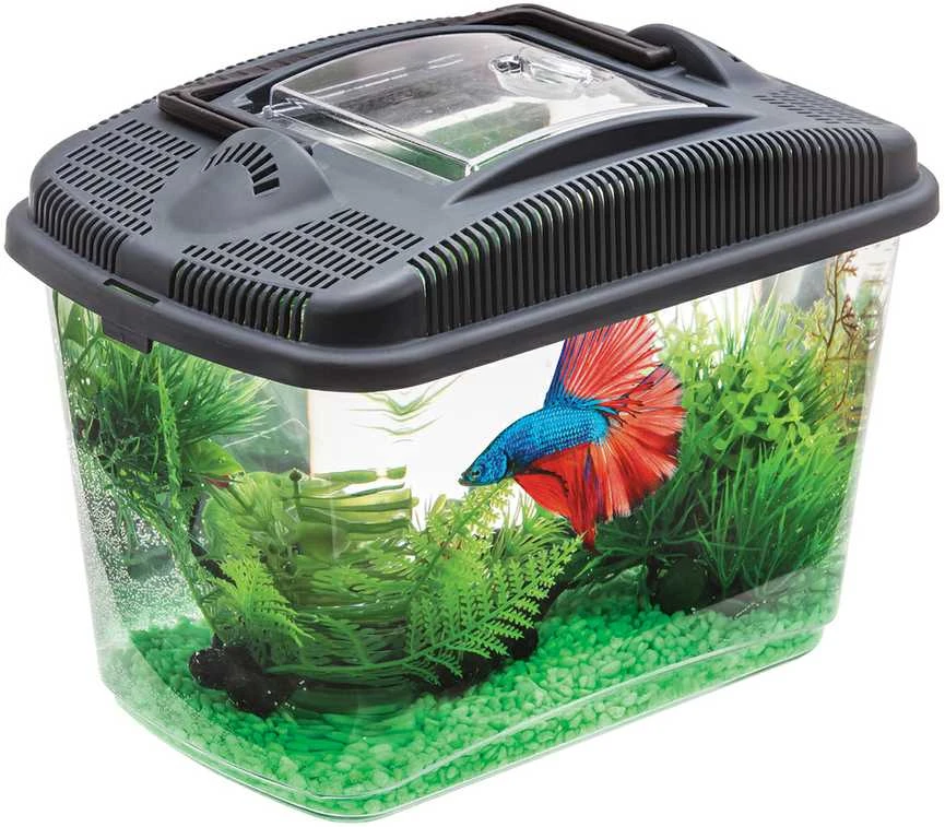 Aquael Betta Kit akvariumo komplektas