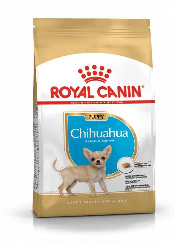ROYAL CANIN Chihuahua junior 500g, čihuahua veislės jaunų šunų sausas pašaras