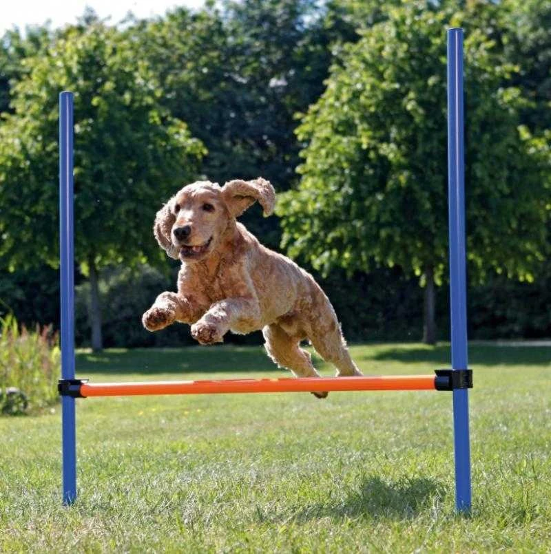 TRIXIE Agility kliūtis, 123x115 cm, plastikas, 3207