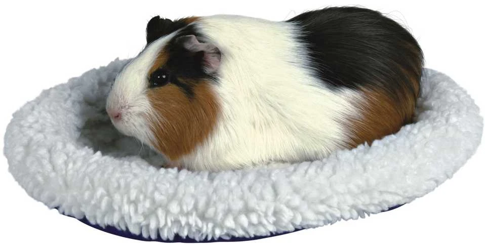 TRIXIE Cuddly Guolis, jūrų kiaulytėms, 30x22 cm