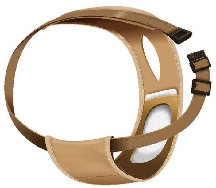 Trixie Kelnaitės kalėms XS, 20-25cm, juodos