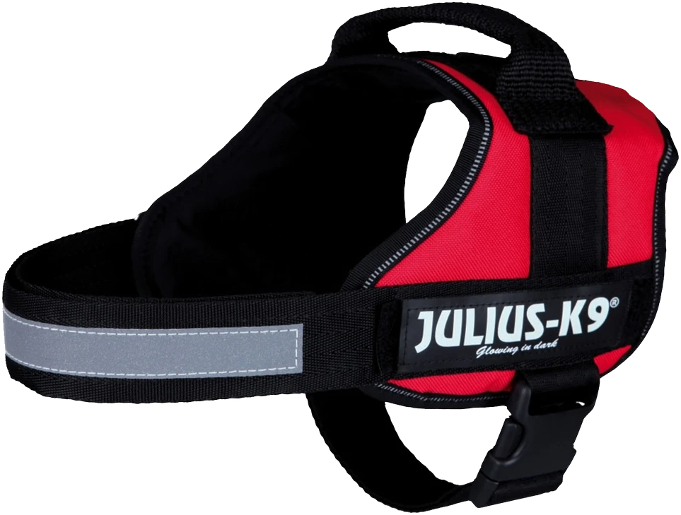 Trixie Petnešos Julius-K9, 0/M–L: 58–76 cm, raudonos sp.