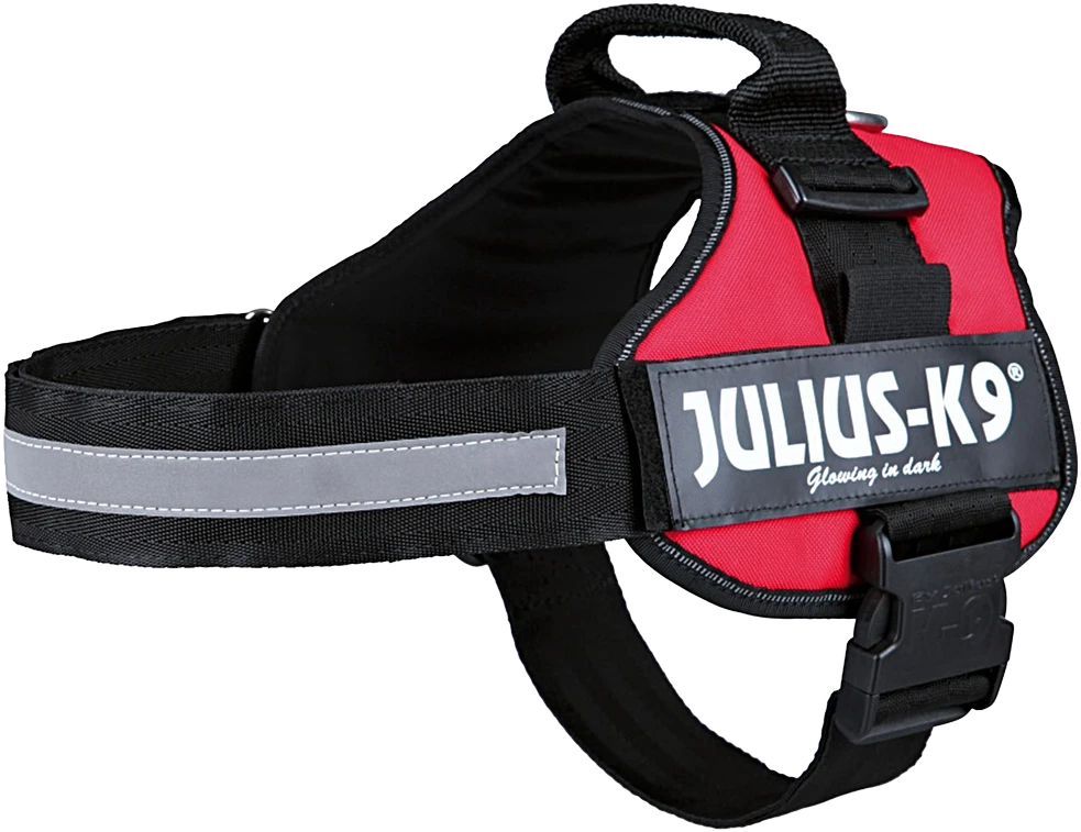 Trixie Petnešos Julius-K9, 2/L–XL: 71–96 cm, raudonos sp.