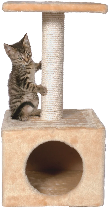TRIXIE Junior Zamora draskyklė stulpas su būda, 60cm, smėlio