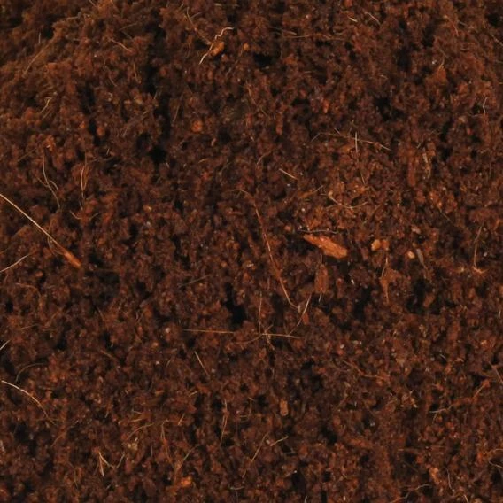 TRIXIE SUBSTRATAS TERARIUMUI 9 l, kokoso pjuvenos
