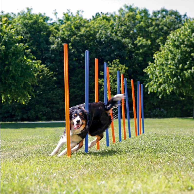 TRIXIE Agility Slalomo treniruoklis, 12 stulpų, 115 cm, plastikas, 3206