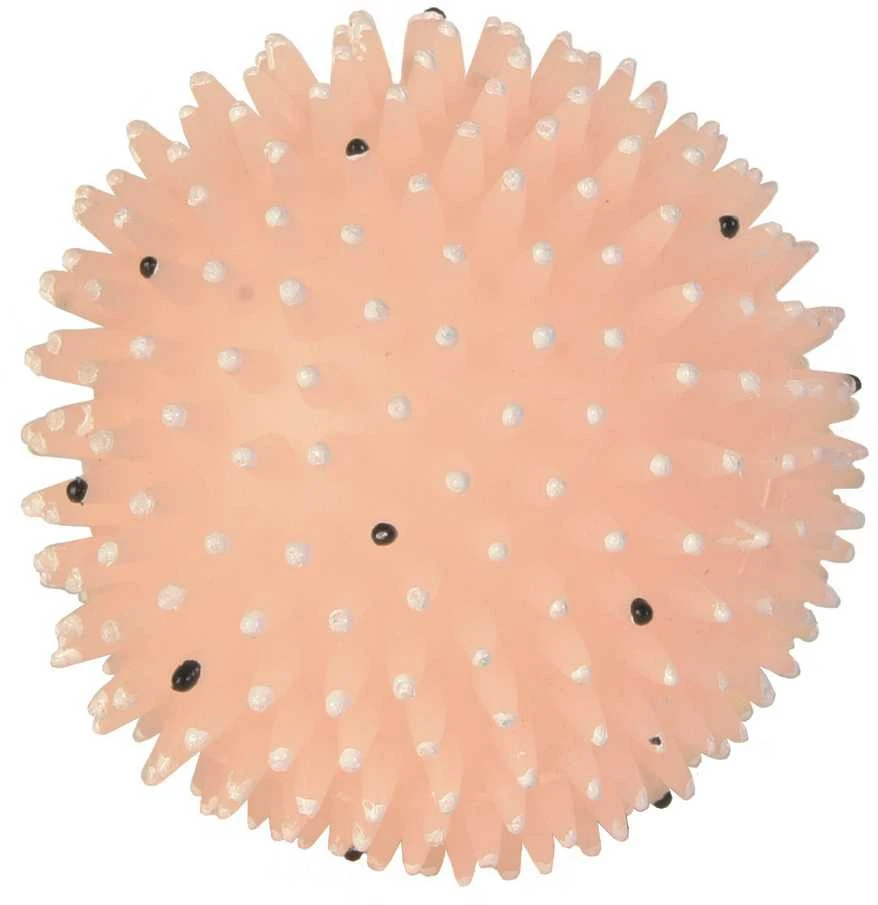 TRIXIE Kamuolys su spygliais, fosforescuojantis, vinilas, ø 10 cm