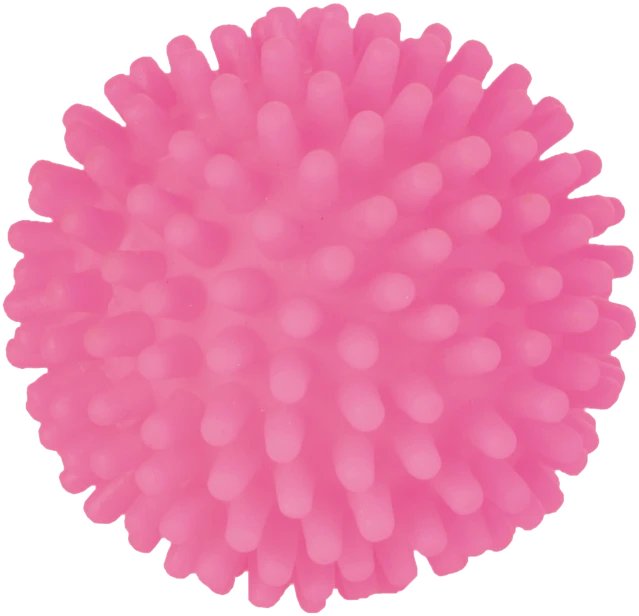 Trixie Žaislas Spuoguotas kamuolys mažas 7.5cm MR
