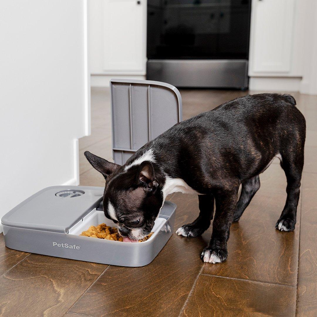 Petsafe 2 Meal Pet Feeder automatinė dviejų maitinimų šėrykla