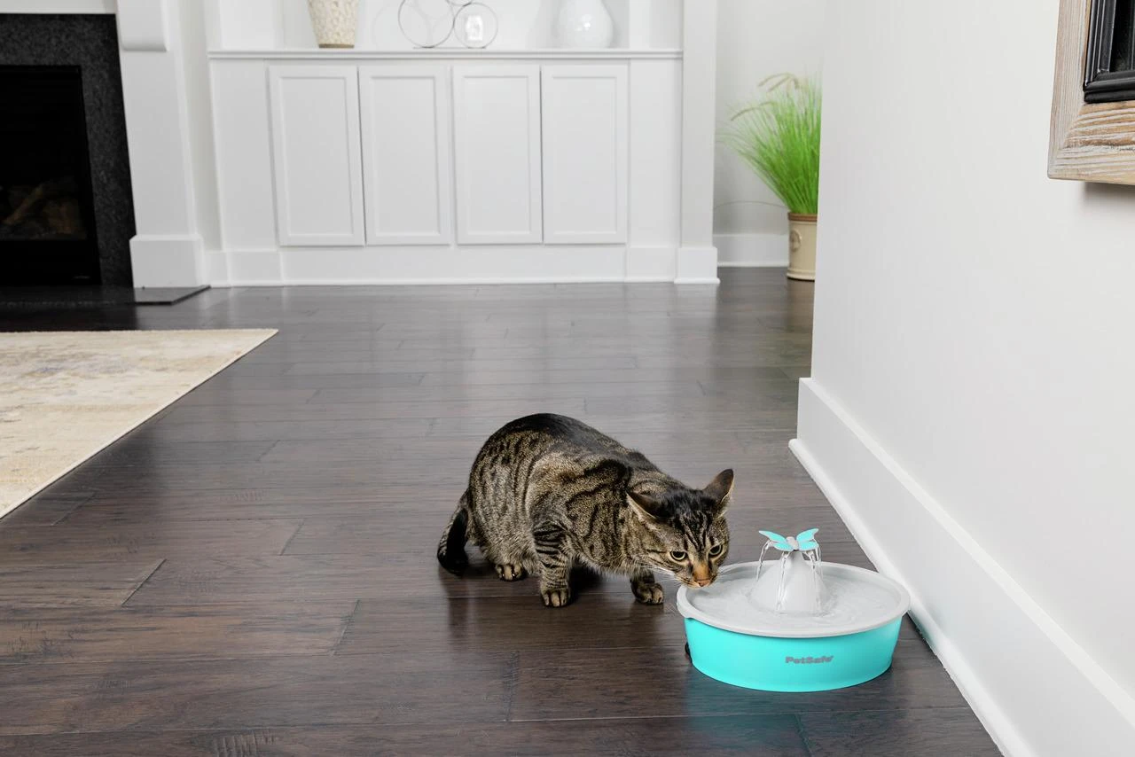 PetSafe Drinkwell Original vandens talpos girdykla - fontanas- DRUGELIS skirta mažiems bei vidutinio dydžio šunims ir katėms girdyti