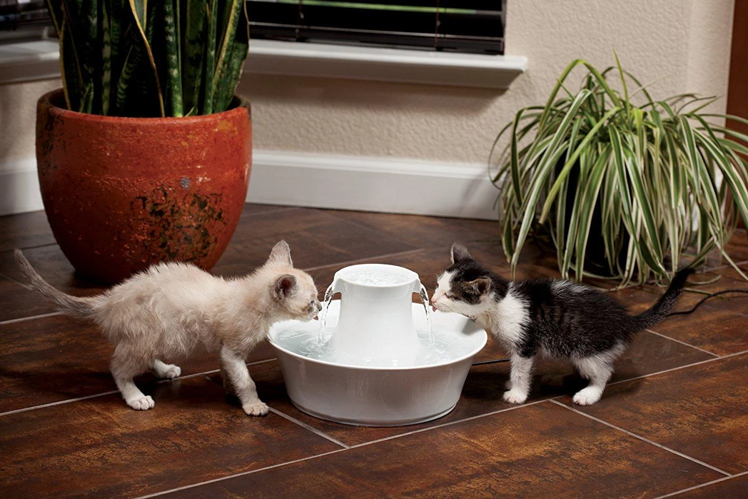 PetSafe Drinkwell Avalon fontanėlis girdykla šunims ir katėms 2L
