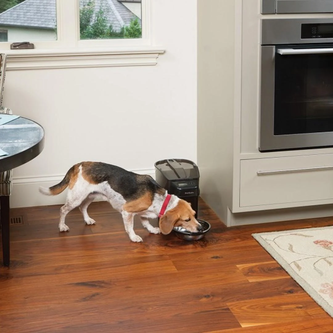 PetSafe Healthy Simply Feed programuojama skaitmeninė automatinė šėrykla šunims ir katėms