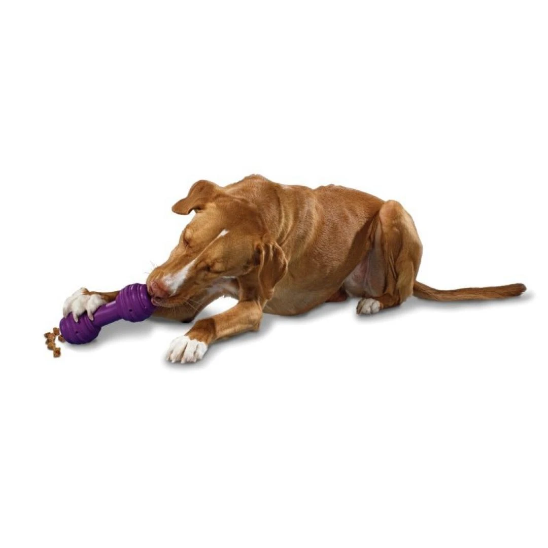 Petsafe Busy Buddy Chuckle guminis kaulas su cypuku dideliems šunims