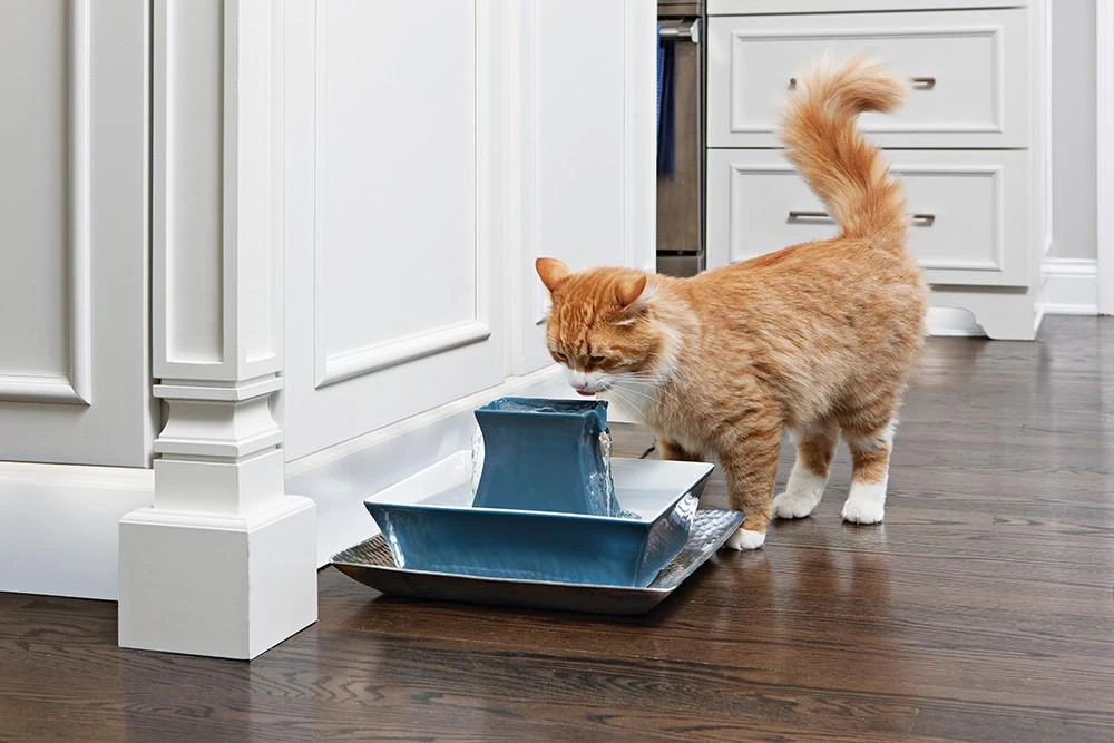 PetSafe Drinkwell Pagoda Mėlynas fontanėlis girdykla šunims ir katėms 2L