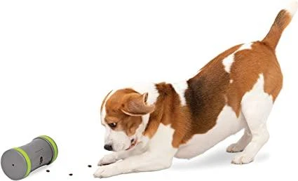 PetSafe Kibble Chase aukštųjų technologijų skanėstų dozatorius- šunų žaislas