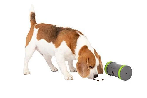 PetSafe Kibble Chase aukštųjų technologijų skanėstų dozatorius- šunų žaislas