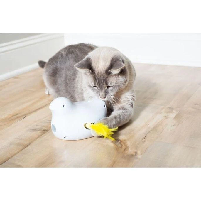 PetSafe Peek-a-Bird™ elektroninis katės žaislas