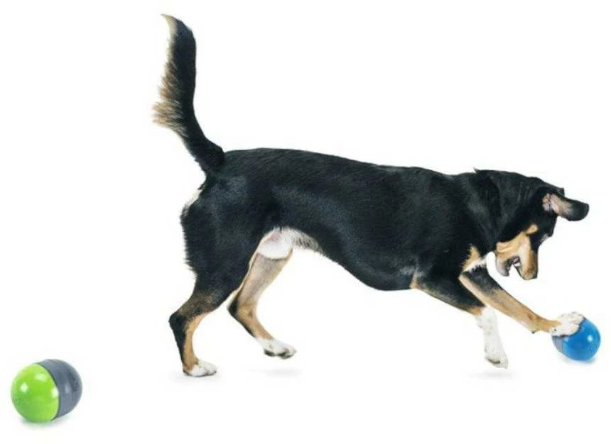 PetSafe Ricochet elektroninis žaislas šunims