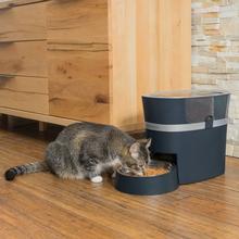 PetSafe Smart Feed Automatic Pet Feeder išmani automatinė šunų ir kačių šėrykla