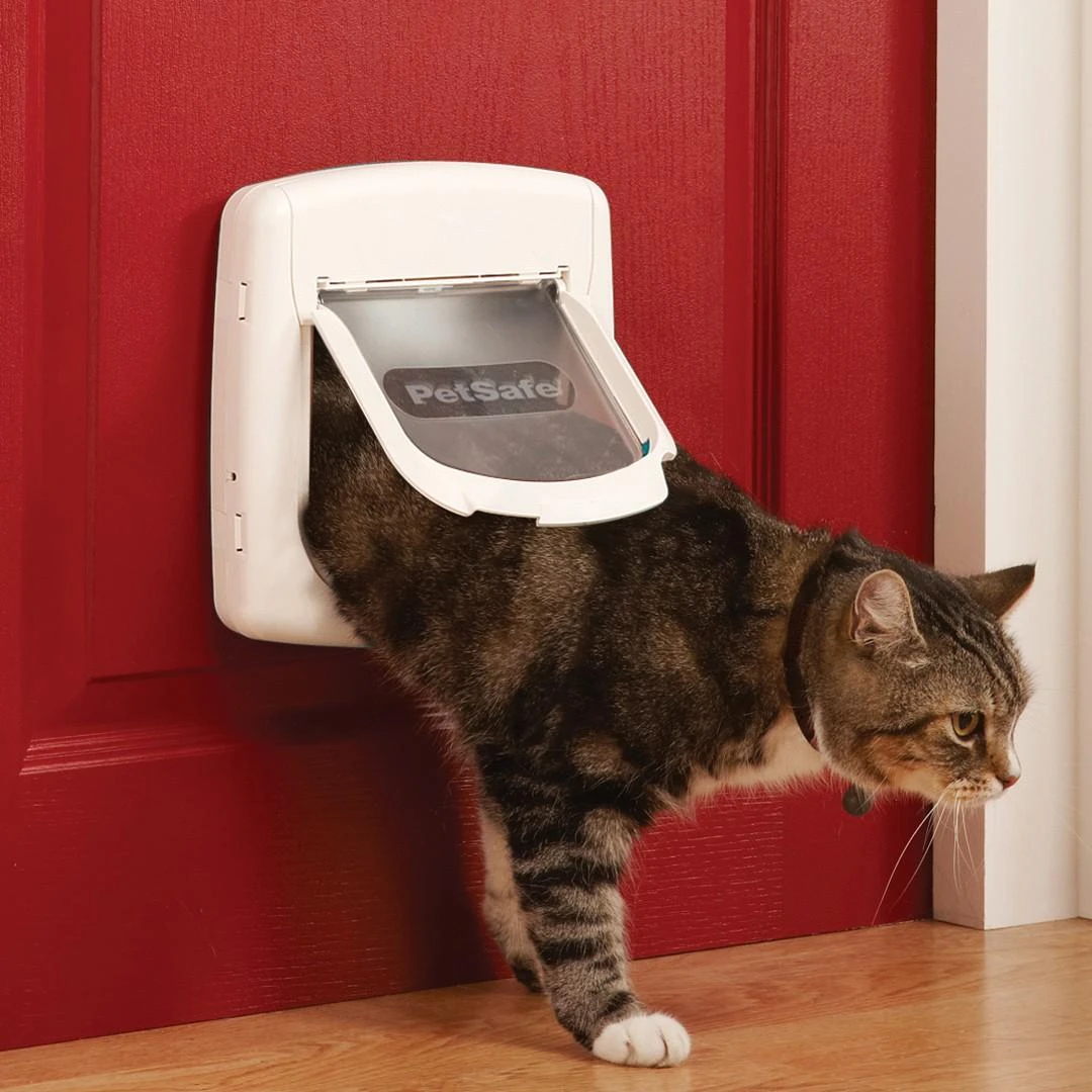 PetSafe magnetinis raktas-antkaklis naudojimo metu
