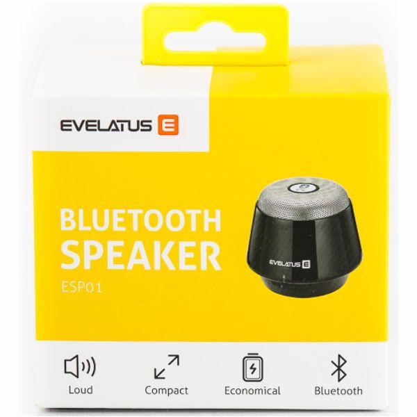 Nešiojama kolonėlė Evelatus ESP01, Juoda