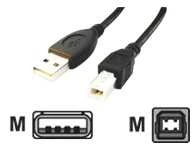 GEMBIRD CCP-USB2-AMBM-10 USB 2.0 A- B 3m cable juodos spalvos