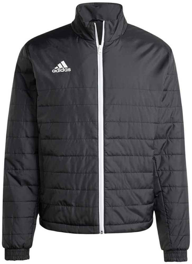 Adidas IB6070_195 paltas arba švarkas