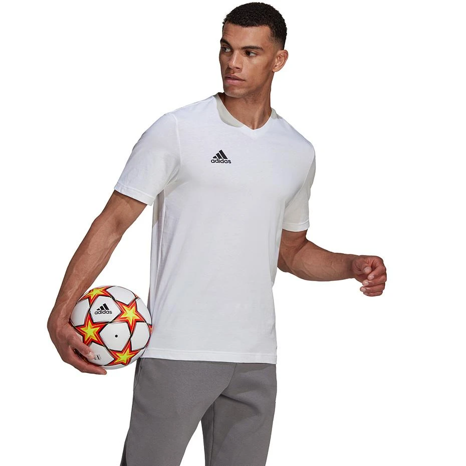 Marškinėliai vyrams Adidas Entrada 22, balti