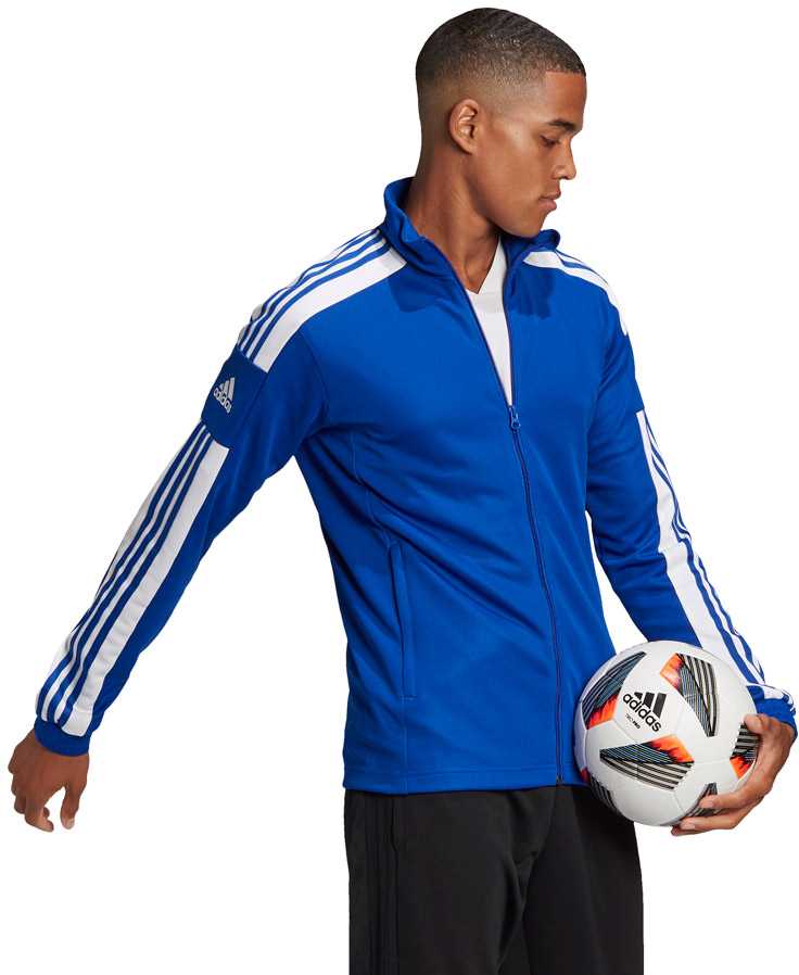 Adidas Squadra 21 Treniruočių M džemperis GP6463