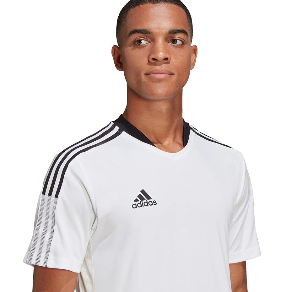 Marškinėliai vyrams Adidas Tiro 21 Training Jersey M GM7590, balti