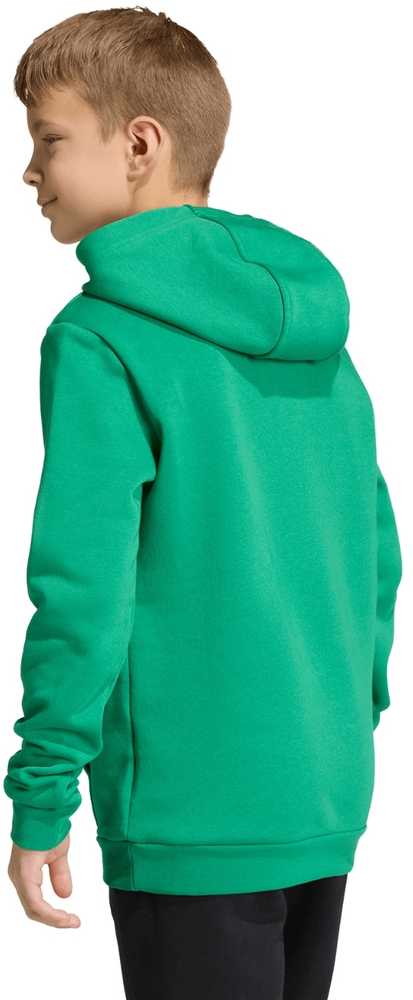 Bluza vaikams adidas Entrada 26 Hoody žalia JZ6563 (140cm)