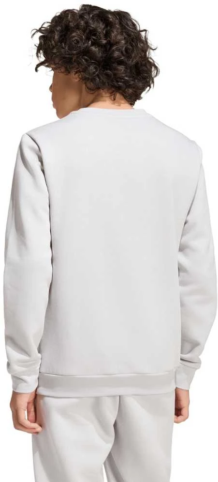 Bluza vaikams adidas Entrada 26 Sweat Top pilka JZ6551 (128cm)