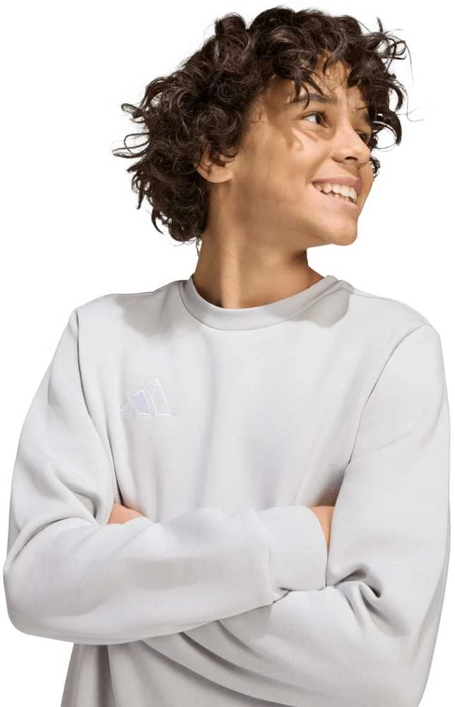 Bluza vaikams adidas Entrada 26 Sweat Top pilka JZ6551 (128cm)
