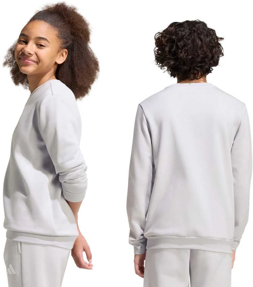 Bluza vaikams adidas Entrada 26 Sweat Top pilka JZ6551 (128cm)