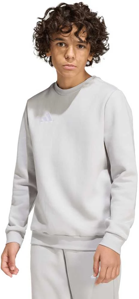 Bluza vaikams adidas Entrada 26 Sweat Top pilka JZ6551 (128cm)