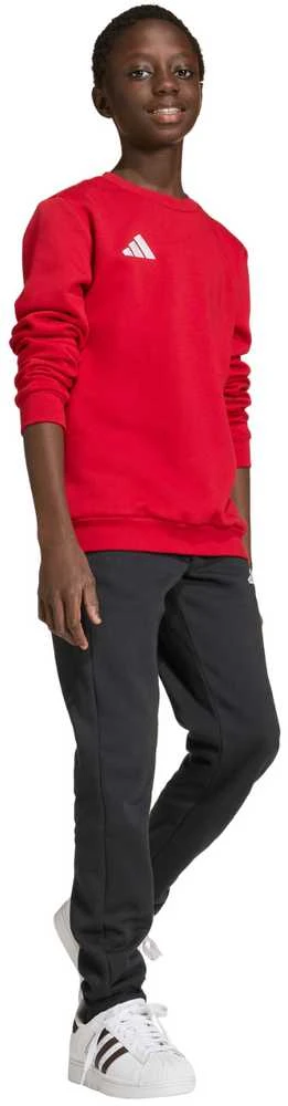Adidas JZ6556_520 sportinis megztinis arba džemperis su gobtuvu
