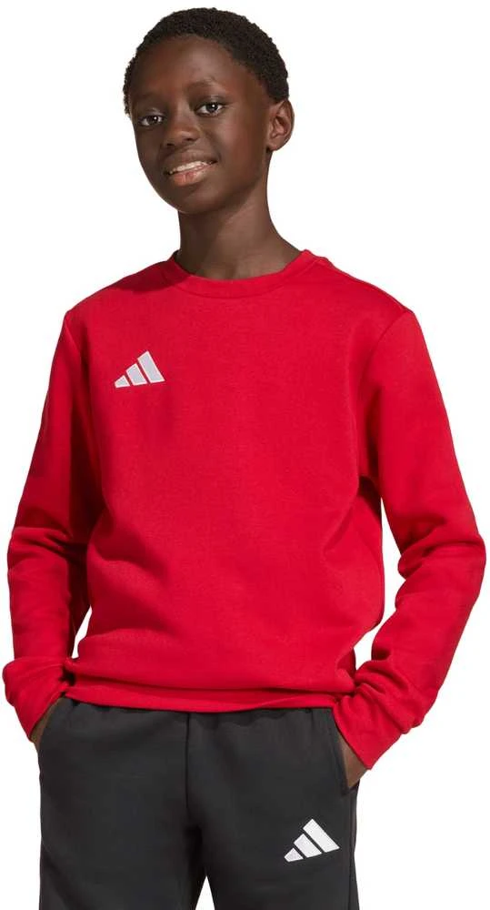 Adidas JZ6556_520 sportinis megztinis arba džemperis su gobtuvu