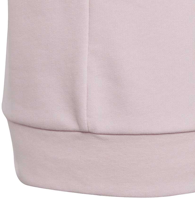 Adidas Dvigubo Logotipo Hoodies Jr IC6119